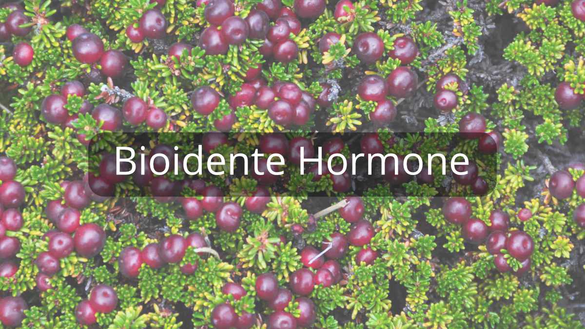 images/leistungen/Dr-Don_Leistungen_Bioidente-Hormone.jpg#joomlaImage://local-images/leistungen/Dr-Don_Leistungen_Bioidente-Hormone.jpg?width=1200&height=675