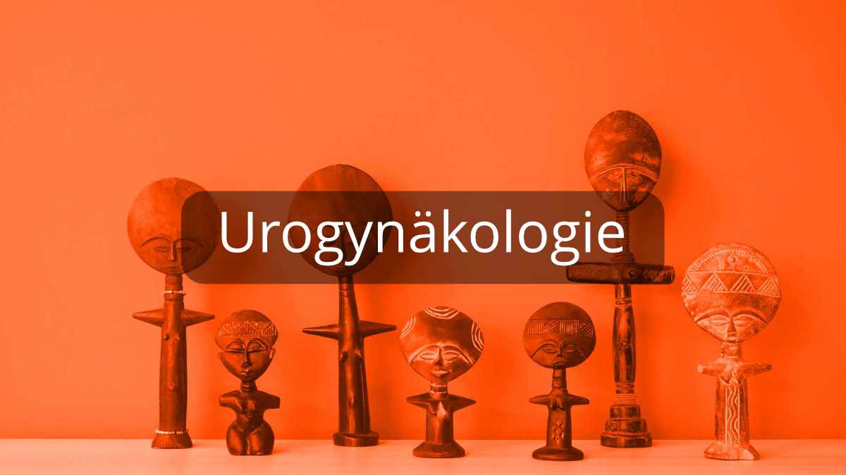 images/leistungen/Dr-Don_Leistungen_Urogynaekologie.jpg